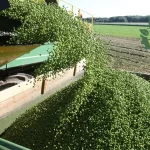 Imagem ilustrativa de uma máquina de apanha de ervilha e os lubrificantes biodegradáveis para a agricultura.